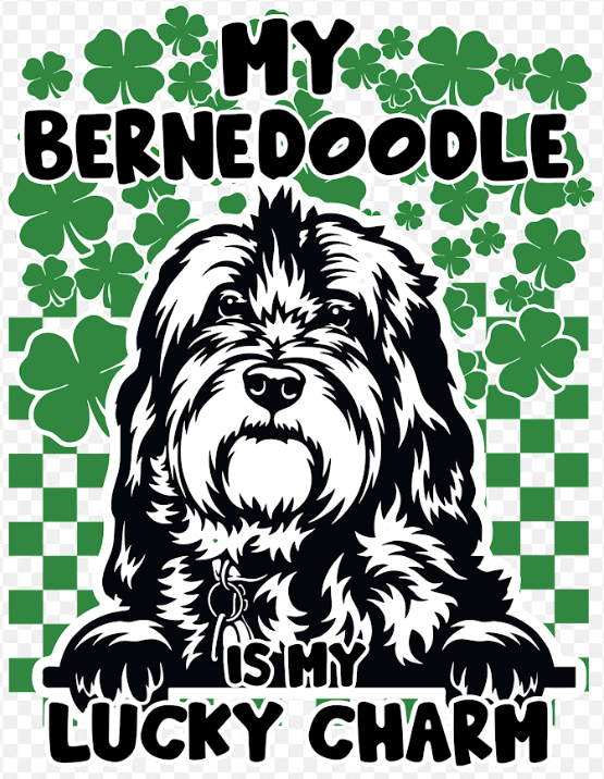 St Pattys Day Shirt Transfers - Set 2