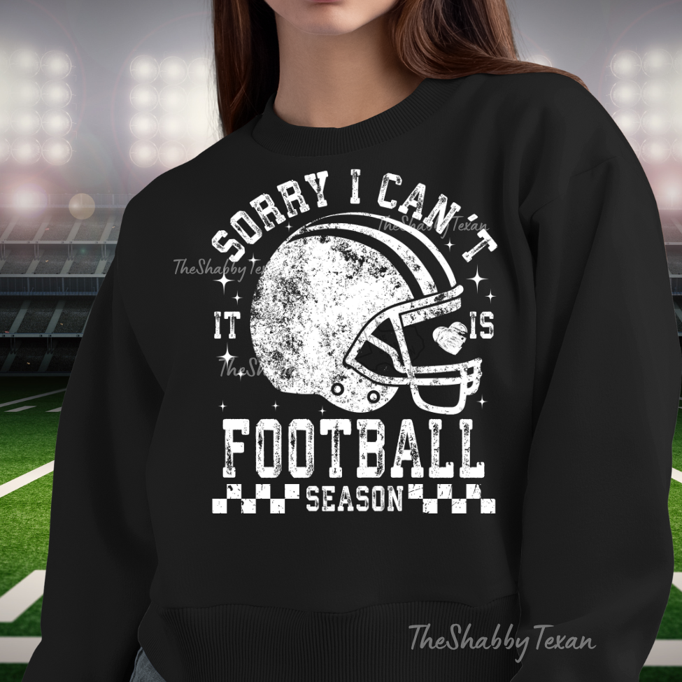 Sorry I Cant Its Football Season Tshirt and Sweatshirts
