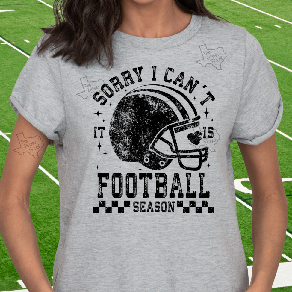 Sorry I Cant Its Football Season Tshirt and Sweatshirts