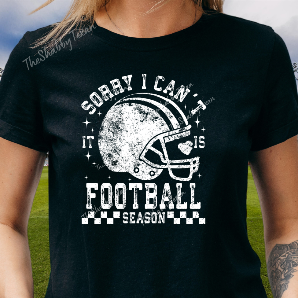 Sorry I Cant Its Football Season Tshirt and Sweatshirts