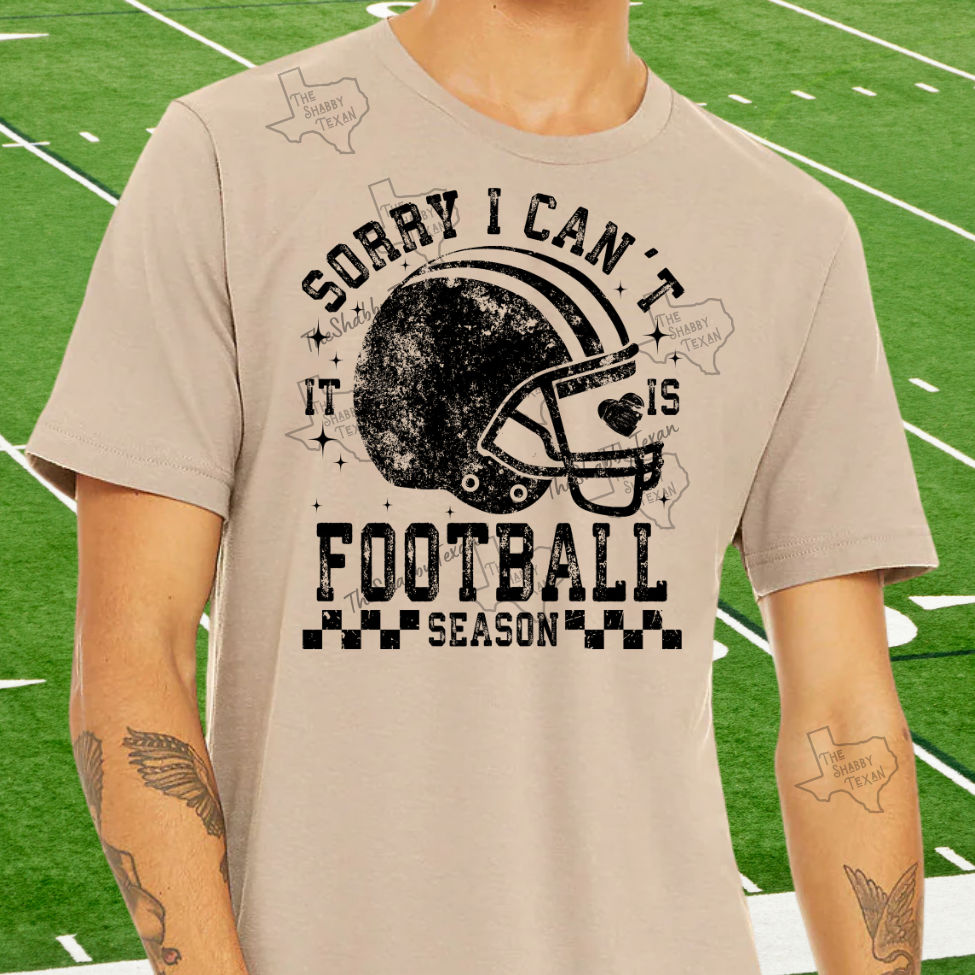 Sorry I Cant Its Football Season Tshirt and Sweatshirts