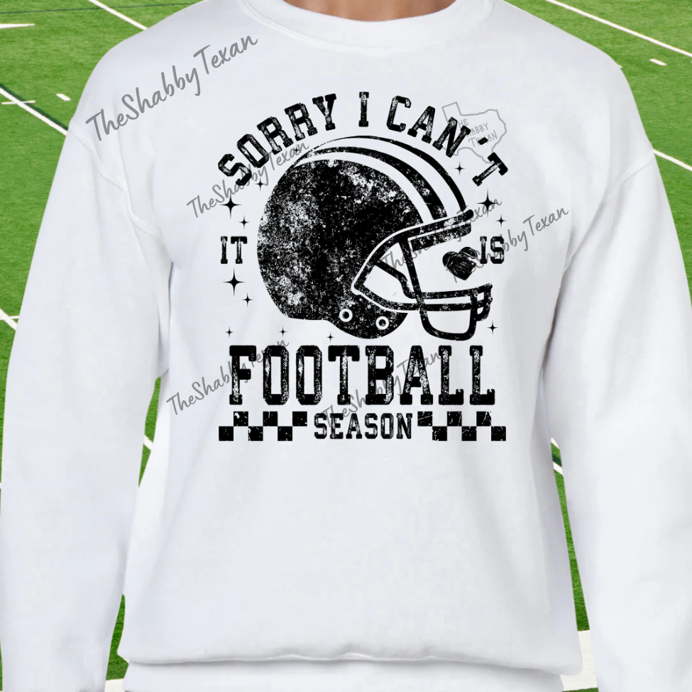 Sorry I Cant Its Football Season Tshirt and Sweatshirts