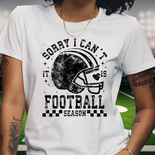Sorry I Cant Its Football Season Tshirt and Sweatshirts