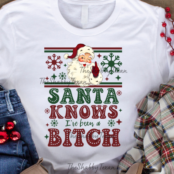 Santa knows you've been an AHole/B Shirts