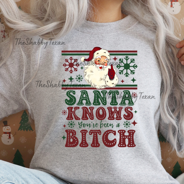 Santa knows you've been an AHole/B Shirts