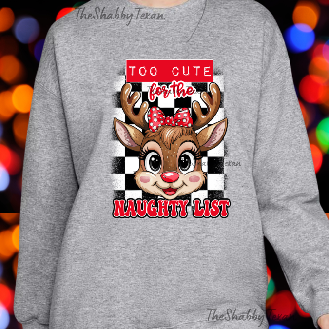 Naughty List Youth Tshirts and Sweatshirts