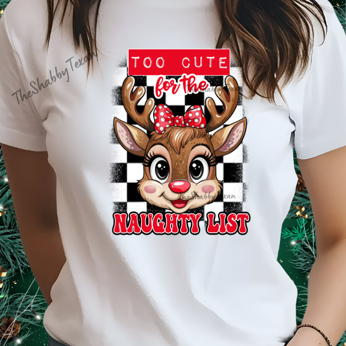 Naughty List Youth Tshirts and Sweatshirts