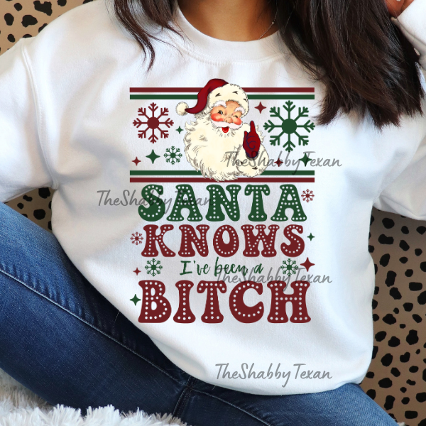 Santa knows you've been an AHole/B Shirts